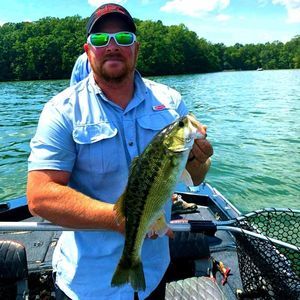 Meet your Posher, Chad